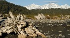 Fox Glacier