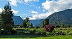 Fox Glacier