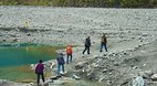 Fox Glacier