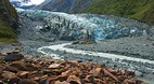 Fox Glacier
