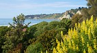Christchurch - Cante..