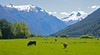 Haast Pass Accommodation