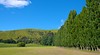 Hanmer Springs Accommodation