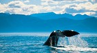 Kaikoura