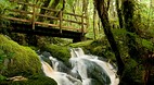 Karamea
