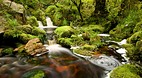 Karamea