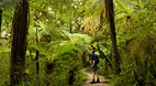Karamea