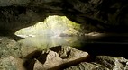 Karamea