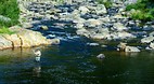 Karangahake Gorge Hi..