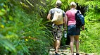 Karangahake Gorge Hi..