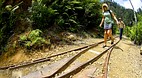 Karangahake Gorge Hi..