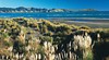 Kawhia