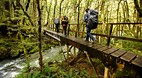Kepler Track
