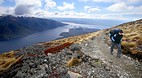 Kepler Track
