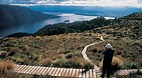 Kepler Track
