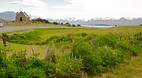Christchurch - Cante..