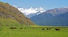 Lake Wanaka