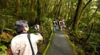 Milford Sound