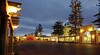 Napier
