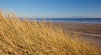 Oreti Beach and Sand..
