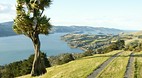 Otago Peninsula