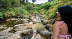 Coromandel