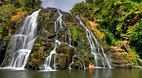 Coromandel