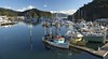 Picton Accommodation