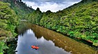 Coromandel