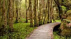 Ship Creek