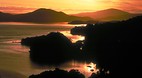 Stewart Island
