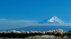 Taranaki
