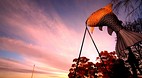 Taupo