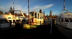Taupo