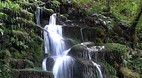 Taupo