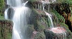 Taupo
