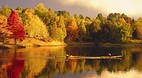 Tauranga