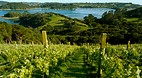Waiheke Island