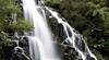 Waikato