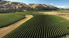Wairarapa