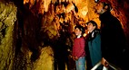 Waitomo Caves