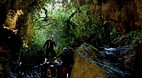 Waitomo Caves
