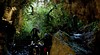 Waitomo Caves