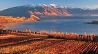 Wanaka