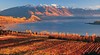Wanaka
