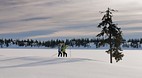 Lillehammer