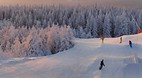 Oslo