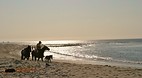 Mancora