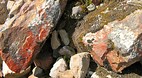 Salkantay Trek
