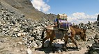 Salkantay Trek